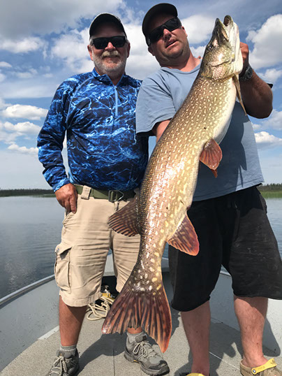 The Agressive Predator - Northern Pike - Fishing Nice