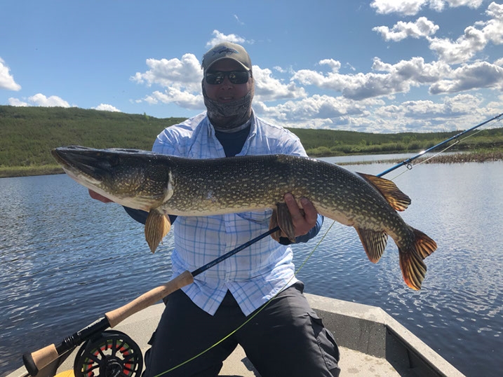 Northern Pike Caught On My Fly Rod, Ray F.