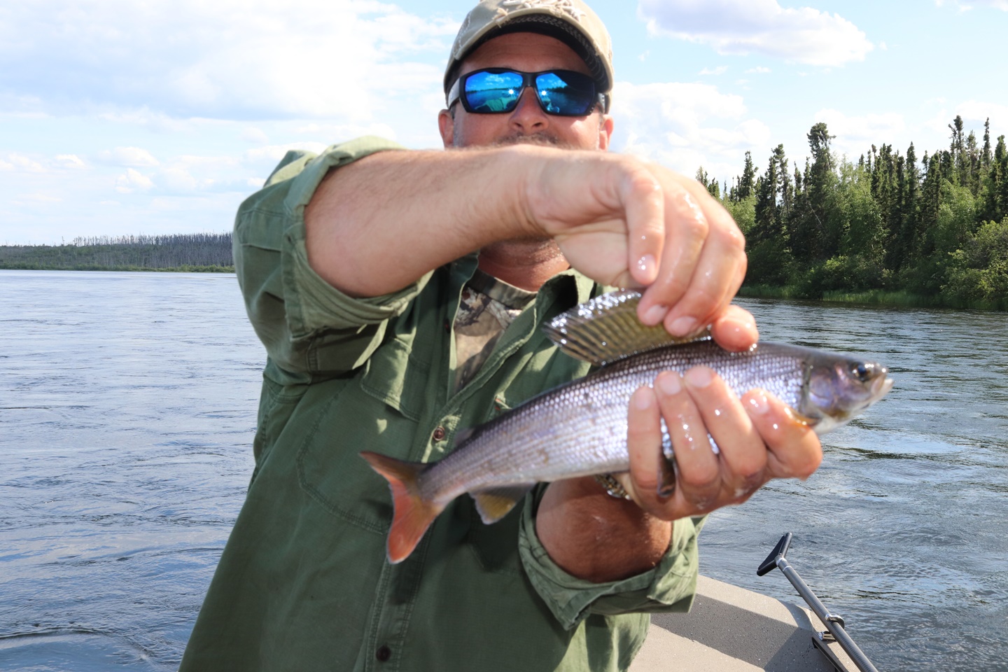 arctic-grayling-fishing-crl-2019-03