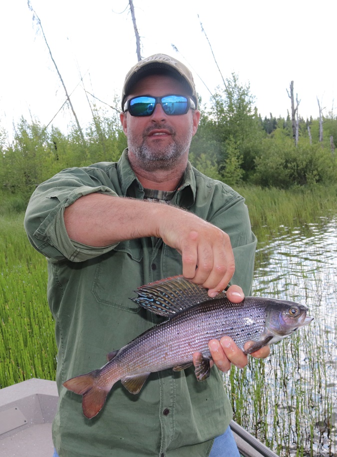 arctic-grayling-fishing-crl-2019-05