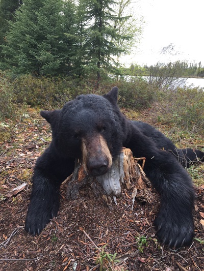 bear-hunting-saskatchewan-crl-2019-01-17