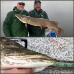 pike-fishing-saskatchewan-crl-2019-107