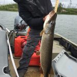 pike-fishing-saskatchewan-crl-2019-132
