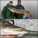 pike-fishing-saskatchewan-crl-2019-173