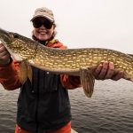 pike-fishing-saskatchewan-crl-2019-51