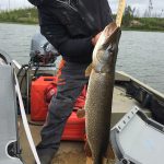 pike-fishing-saskatchewan-crl-2019-66