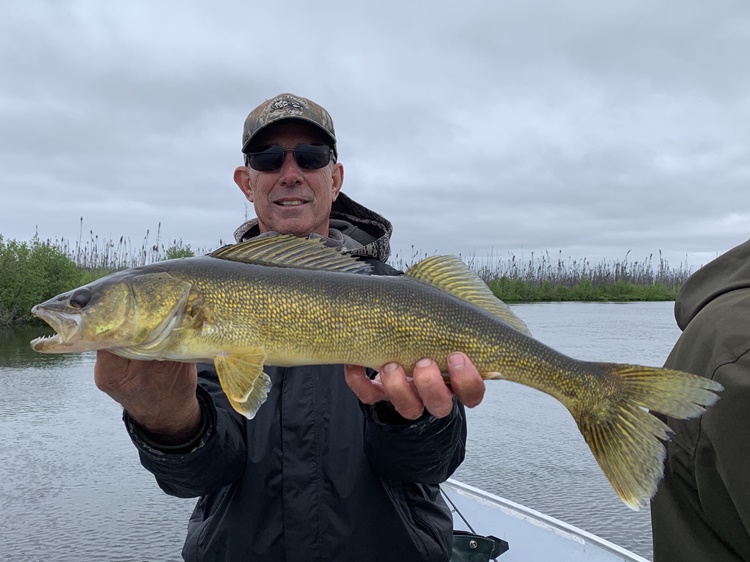 walleye-fishing-saskatchewan-crl-2019-49