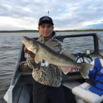 walleye-fishing-saskatchewan-crl-2019-54