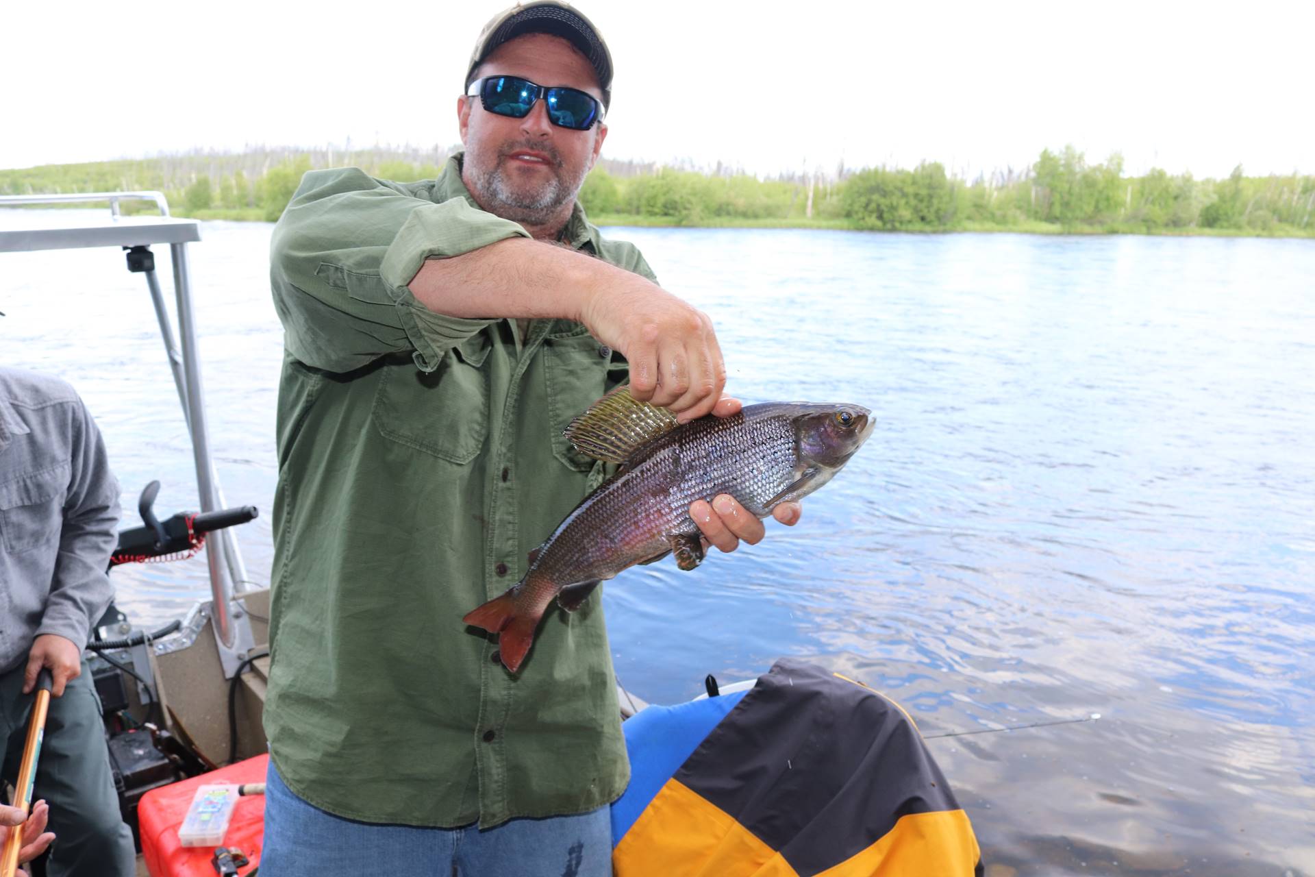 Arctic Grayling Fishing