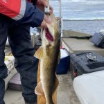 sk-walleye-fishing-crl-2021-53