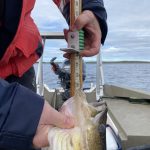 sk-walleye-fishing-crl-2021-54