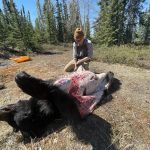 saskatchewan-black-bear-hunting-CRL-2022-069