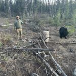 saskatchewan-black-bear-hunting-CRL-2022-079