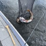 saskatchewan-northern-pike-fishing-CRL-2022-072