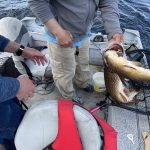 saskatchewan-northern-pike-fishing-CRL-2022-119