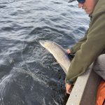 saskatchewan-northern-pike-fishing-CRL-2022-193