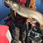 saskatchewan-northern-pike-fishing-CRL-2022-292
