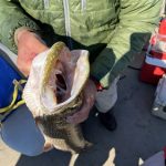 saskatchewan-northern-pike-fishing-CRL-2022-330