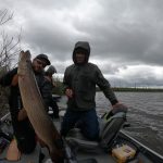 saskatchewan-northern-pike-fishing-CRL-2022-350