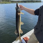 saskatchewan-northern-pike-fishing-CRL-2022-632