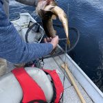 saskatchewan-northern-pike-fishing-CRL-2022-723