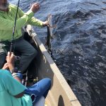 saskatchewan-northern-pike-fishing-CRL-2022-992