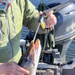 saskatchewan-walleye-fishing-CRL-2022-083