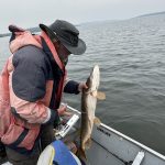 sk-northern-pike-fishing-crl-2023-113