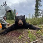 sk-bear-hunting-crl-2023-142