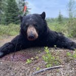 sk-bear-hunting-crl-2023-145