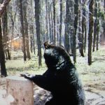 sk-bear-hunting-crl-2023-179