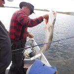 sk-northern-pike-fishing-crl-2023-261