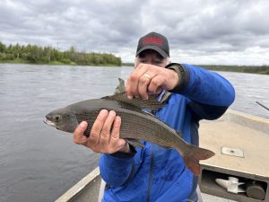 summer-2024-arctic-grayling-cree-river-lodge-003