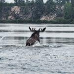 summer-2024-scenery-cree-river-lodge-003