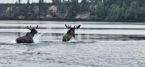 summer-2024-scenery-cree-river-lodge-003