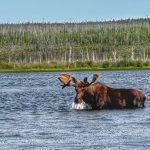 summer-2024-scenery-cree-river-lodge-019