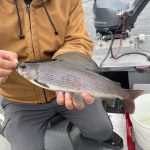 summer-2024-arctic-grayling-cree-river-lodge-009