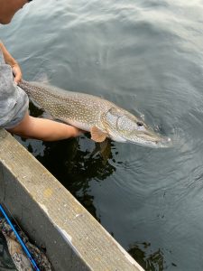 summer-2024-northern-pike-cree-river-lodge-215