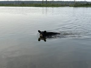 summer-2024-scenery-cree-river-lodge-134