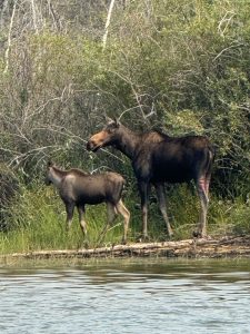 summer-2024-scenery-cree-river-lodge-143