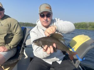 cree-river-lodge-grayling-fishing-2025-001