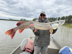 northern-pike-49-5-inches