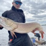 northern-pike-49-inches