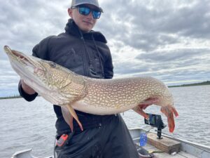 northern-pike-49-inches