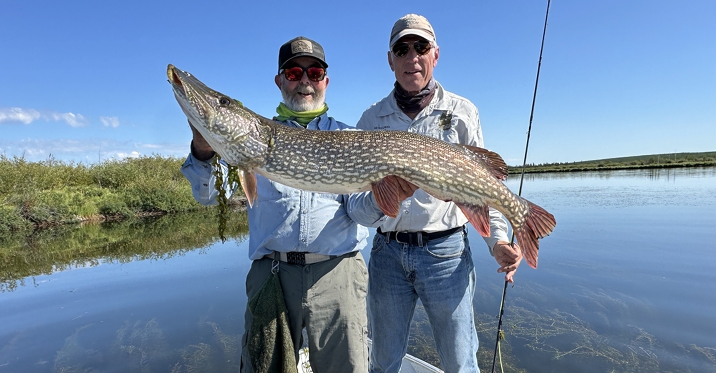 cree-river-lodge-northern-pike-fishing-2025-002-pike-on-the-fly