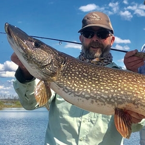 saskatchewan-fly-in-fishing-guide-chip-1